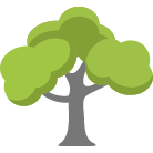 College Station Tree Trimming Service