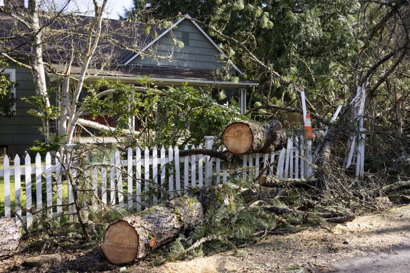 Clearing Debris After Storm